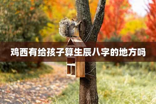 鸡西有给孩子算生辰八字的地方吗