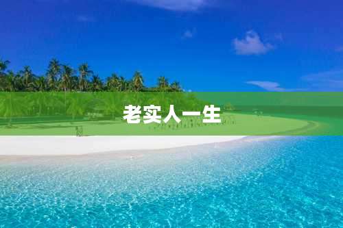 老实人一生