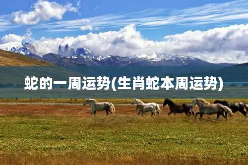 蛇的一周运势(生肖蛇本周运势)