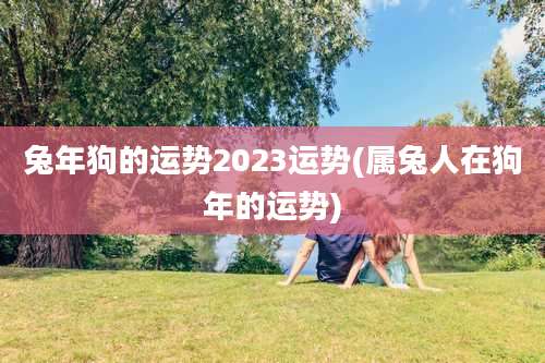 兔年狗的运势2023运势(属兔人在狗年的运势)