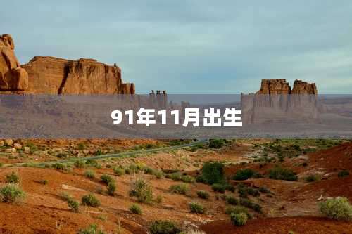 91年11月出生