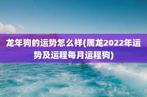 龙年狗的运势怎么样(属龙2022年运势及运程每月运程狗)