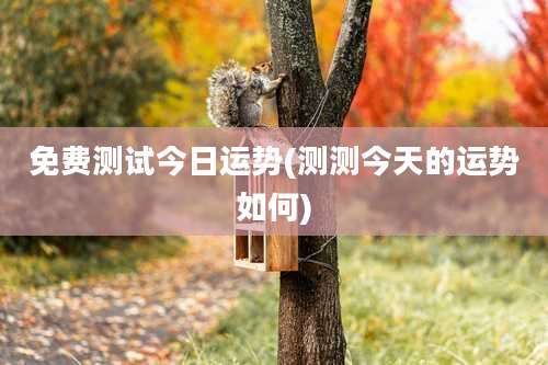 免费测试今日运势(测测今天的运势如何)