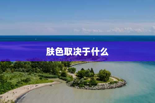 肤色取决于什么