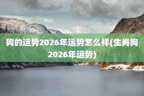 狗的运势2026年运势怎么样(生肖狗2026年运势)