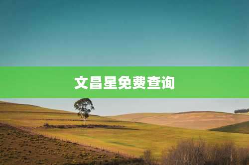 文昌星免费查询