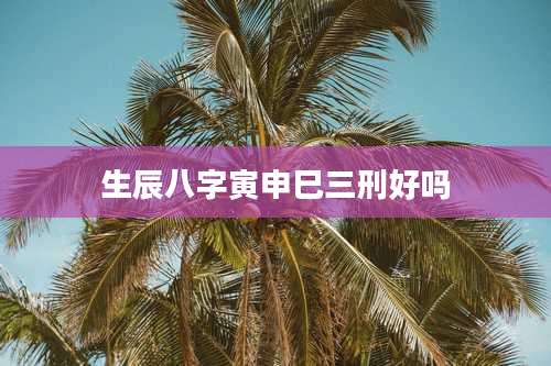生辰八字寅申巳三刑好吗