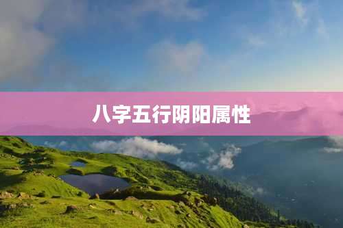 八字五行阴阳属性