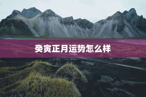 癸寅正月运势怎么样