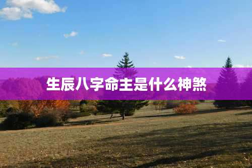 生辰八字命主是什么神煞