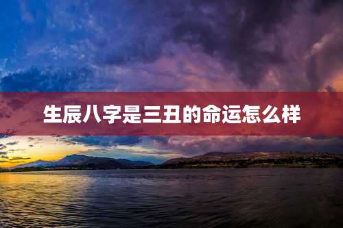 生辰八字是三丑的命运怎么样