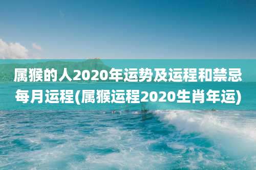 属猴的人2020年运势及运程和禁忌每月运程(属猴运程2020生肖年运)