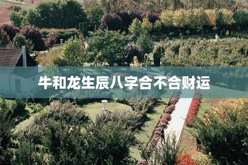 牛和龙生辰八字合不合财运