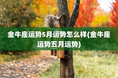 金牛座运势5月运势怎么样(金牛座运势五月运势)