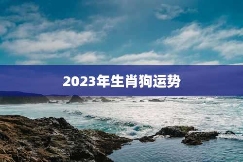 2023年生肖狗运势