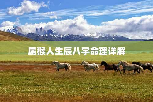 属猴人生辰八字命理详解