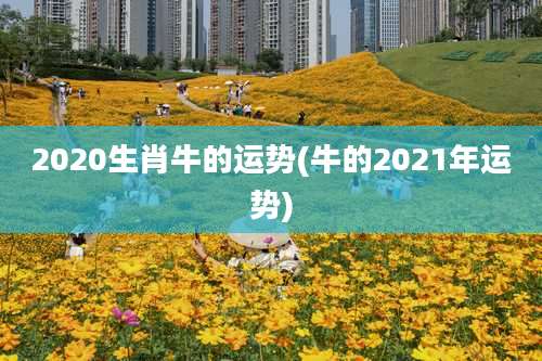 2020生肖牛的运势(牛的2021年运势)