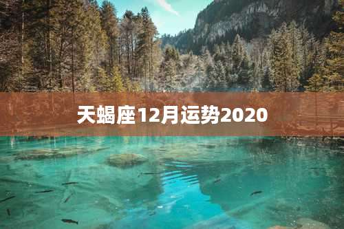 天蝎座12月运势2020