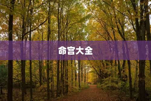 命宫大全
