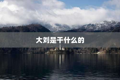 大刘是干什么的