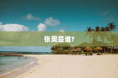 张奥是谁?