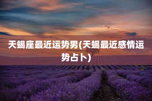 天蝎座最近运势男(天蝎最近感情运势占卜)