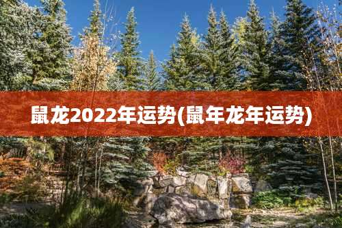 鼠龙2022年运势(鼠年龙年运势)