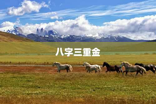 八字三重金