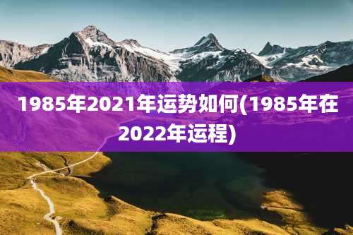1985年2021年运势如何(1985年在2022年运程)