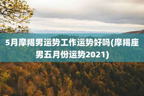 5月摩羯男运势工作运势好吗(摩羯座男五月份运势2021)
