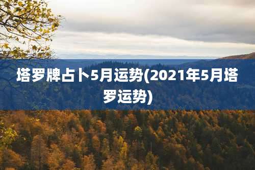 塔罗牌占卜5月运势(2021年5月塔罗运势)