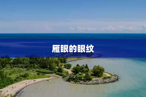 雁眼的眼纹