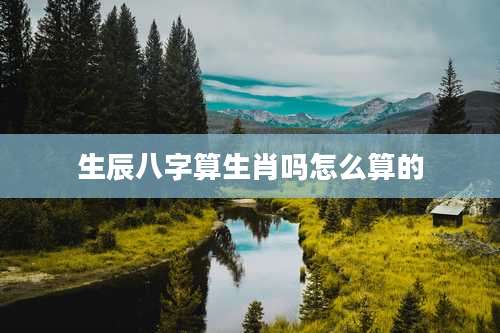 生辰八字算生肖吗怎么算的