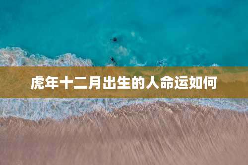 虎年十二月出生的人命运如何