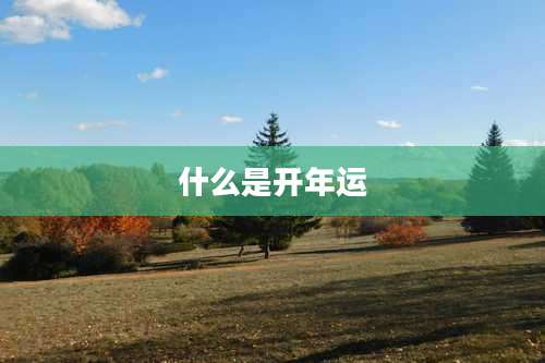什么是开年运