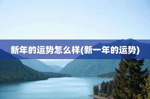 新年的运势怎么样(新一年的运势)