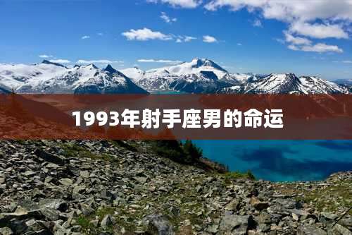1993年射手座男的命运