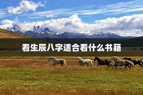 看生辰八字适合看什么书籍