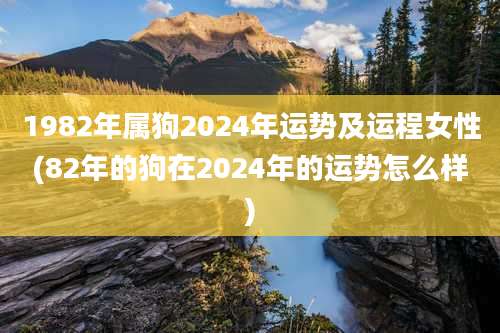 1982年属狗2024年运势及运程女性(82年的狗在2024年的运势怎么样)