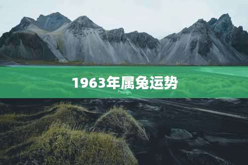 1963年属兔运势