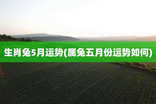 生肖兔5月运势(属兔五月份运势如何)