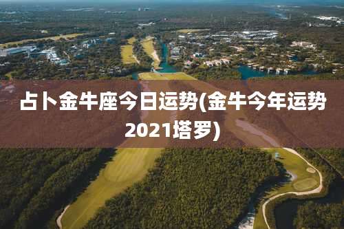 占卜金牛座今日运势(金牛今年运势2021塔罗)