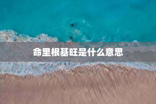 命里根基旺是什么意思