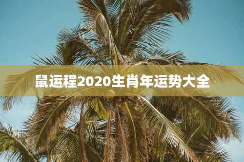 鼠运程2020生肖年运势大全