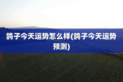 鸽子今天运势怎么样(鸽子今天运势预测)