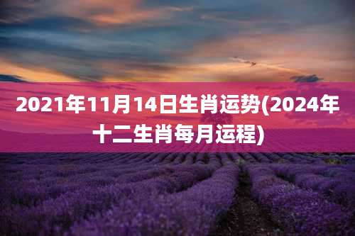 2021年11月14日生肖运势(2024年十二生肖每月运程)