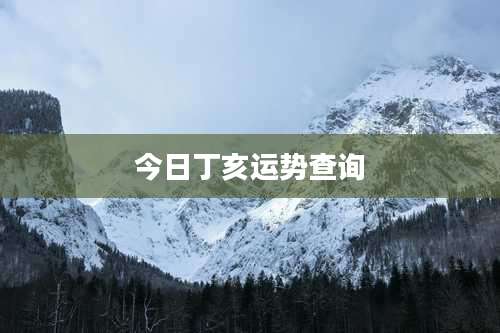 今日丁亥运势查询