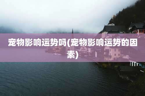 宠物影响运势吗(宠物影响运势的因素)