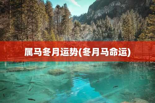 属马冬月运势(冬月马命运)