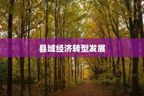 县域经济转型发展